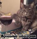 Аватара пользователя