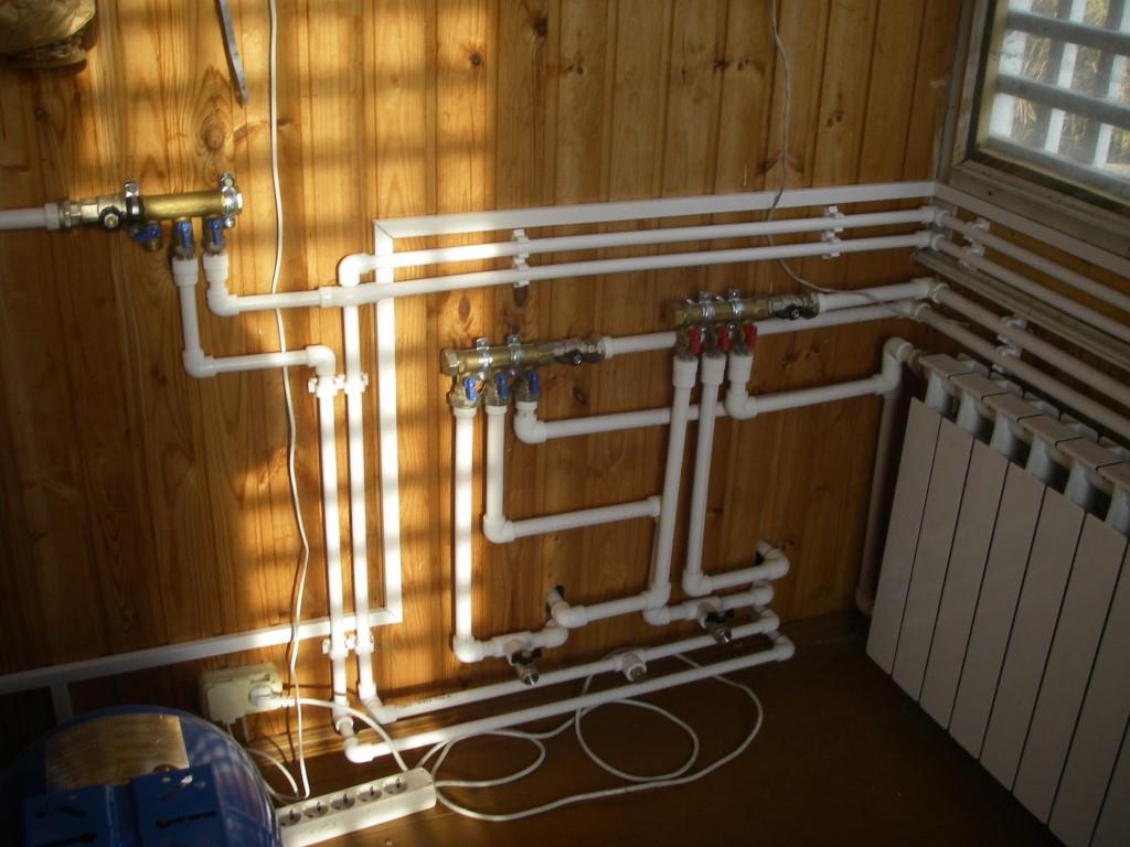 IMGP0001.JPG
