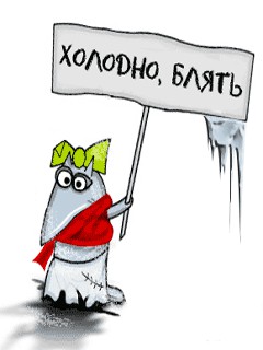 2604522.jpg
