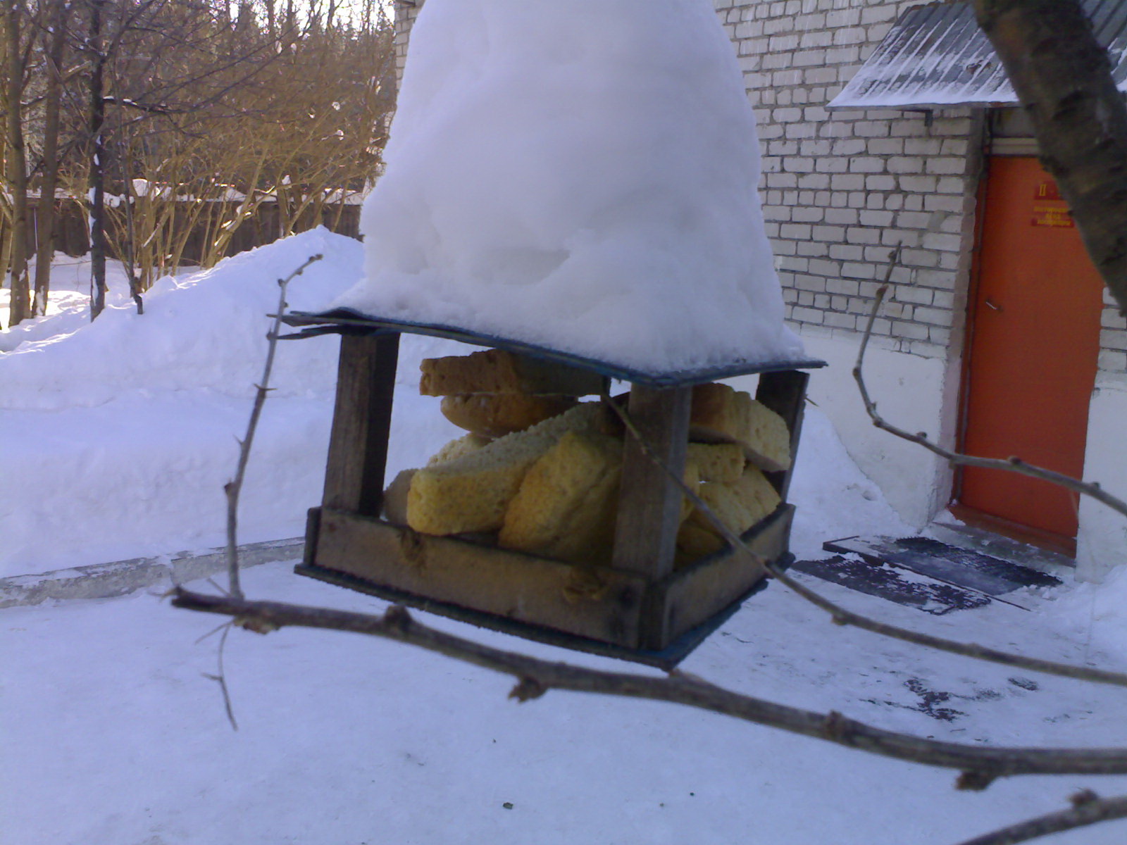 что бы птички не голодали!!!.jpg