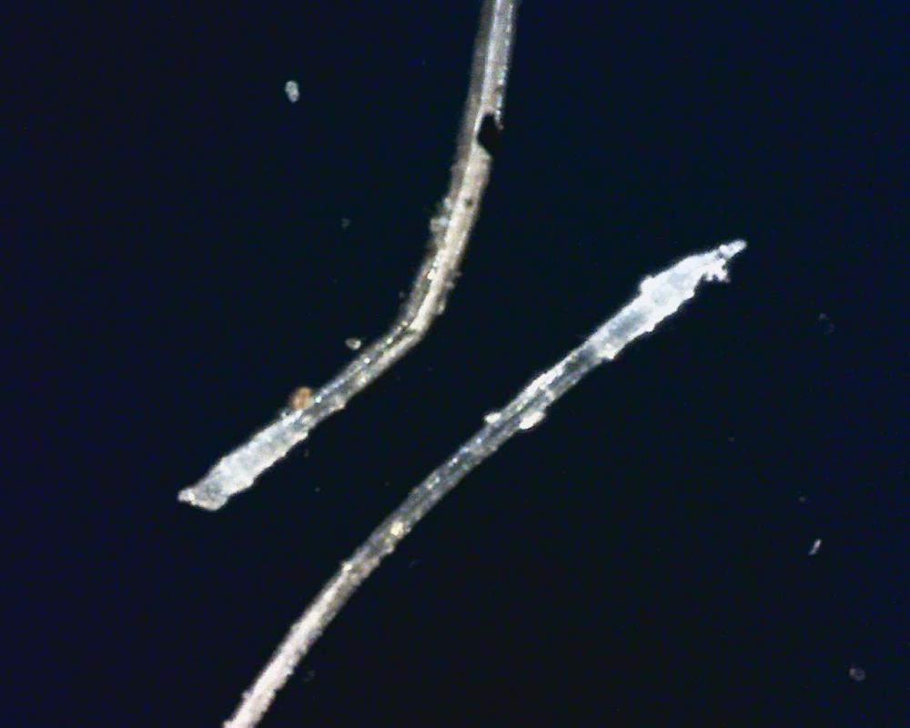 Object__2.jpg