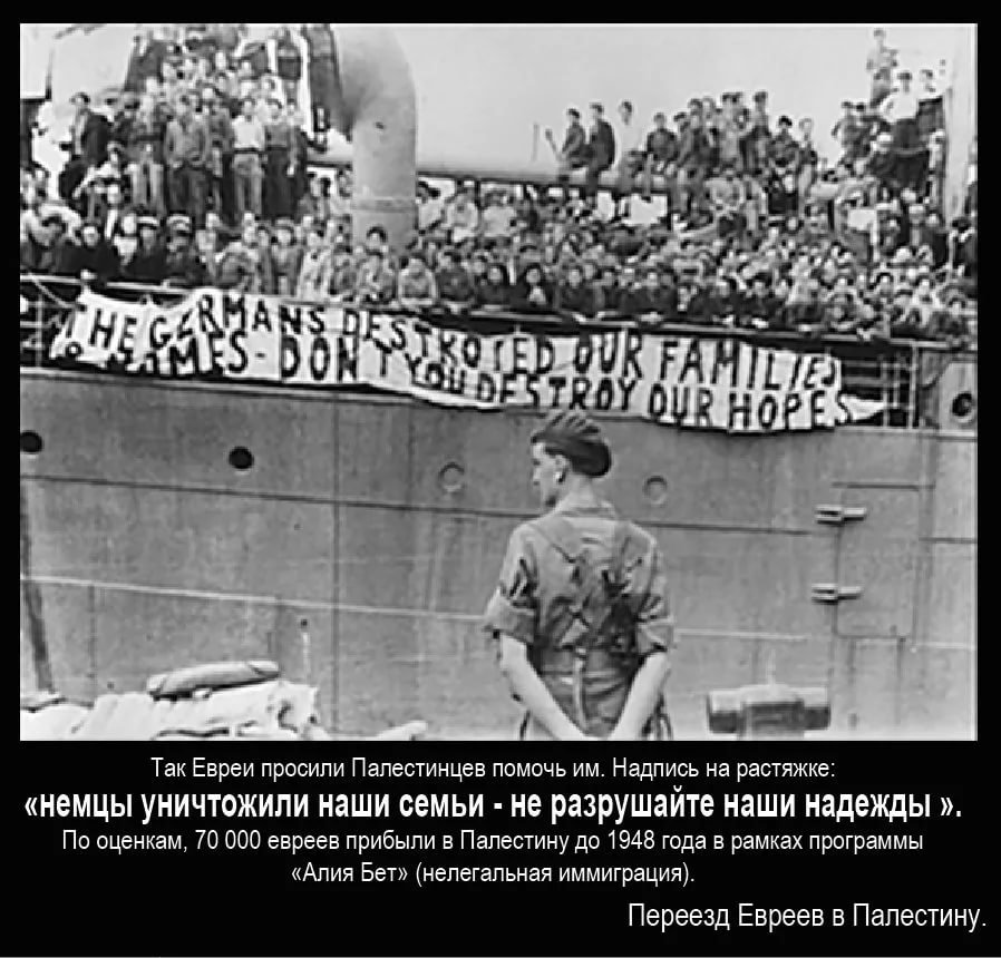 vn8.jpg