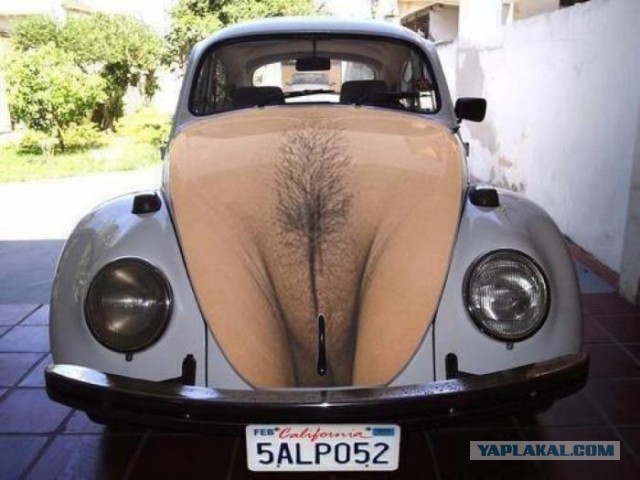VW Beetle.jpg