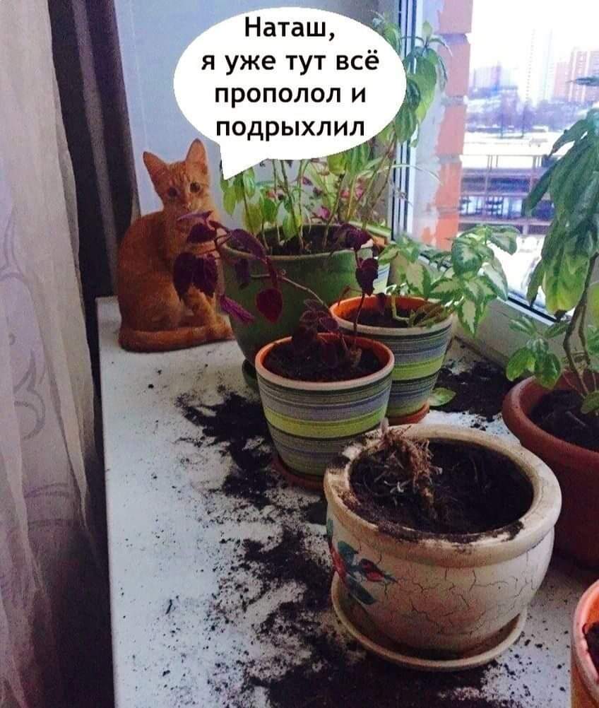20240325_213446.jpg