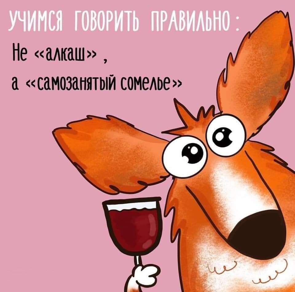 20240419_212851.jpg