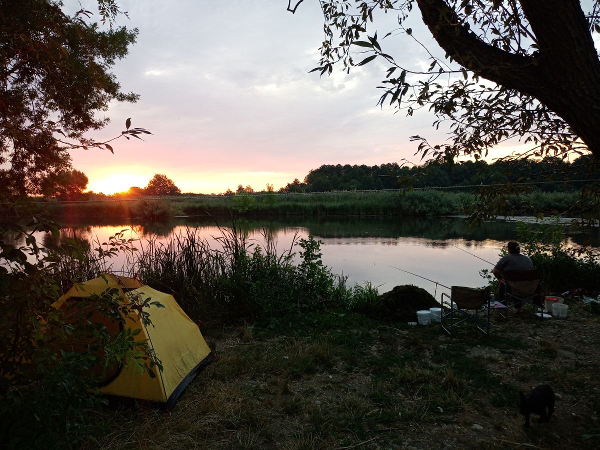 IMG_20240727_051440_578.jpg