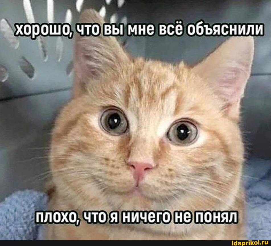 93dd38d0874cadaab0fe4a25dcc657e03d943f760b9f5027c1472081afb41eda_1.jpg.jpg