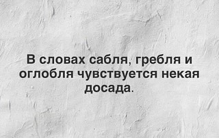 34063937_21620.jpg
