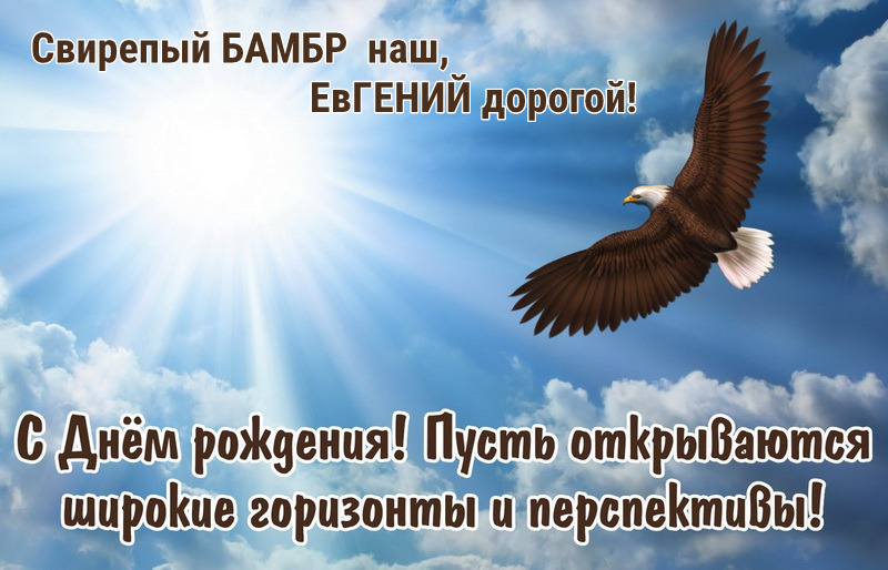 ДР - БАМБР.jpg