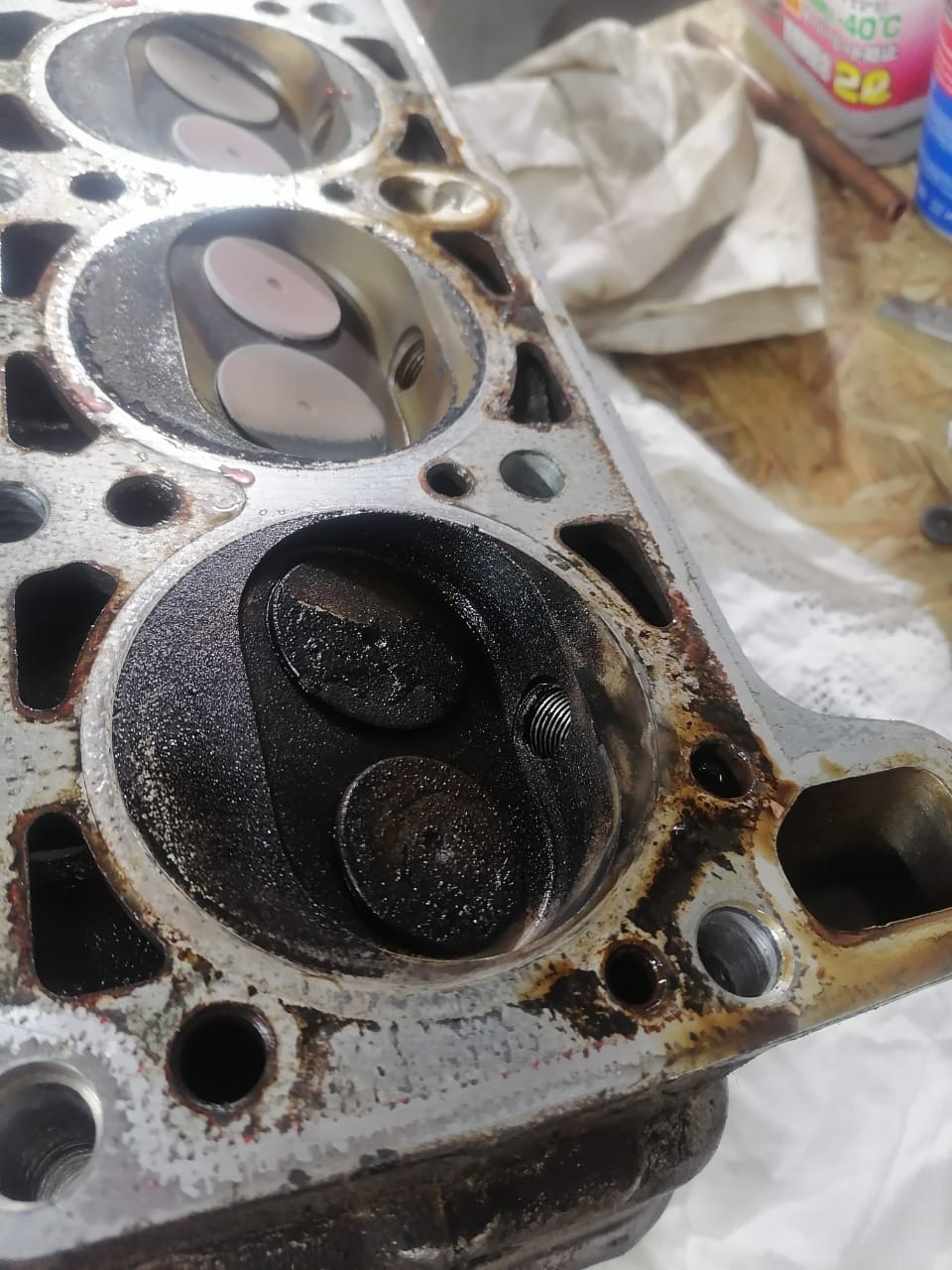 WhatsApp Image 2025-10-29 at 14.08.01.jpeg