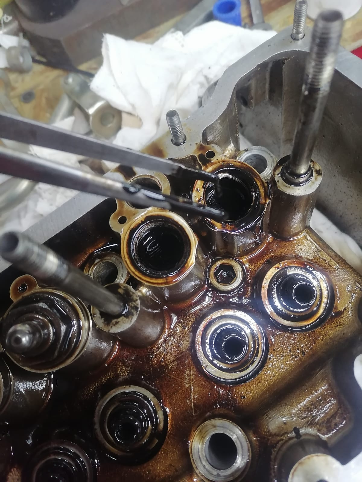 WhatsApp Image 2025-11-05 at 09.04.27.jpeg