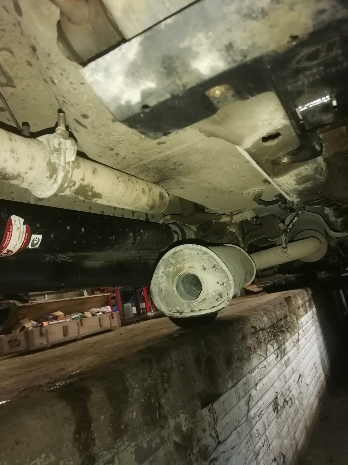 WhatsApp Image 2025-11-12 at 12.22.41.jpeg