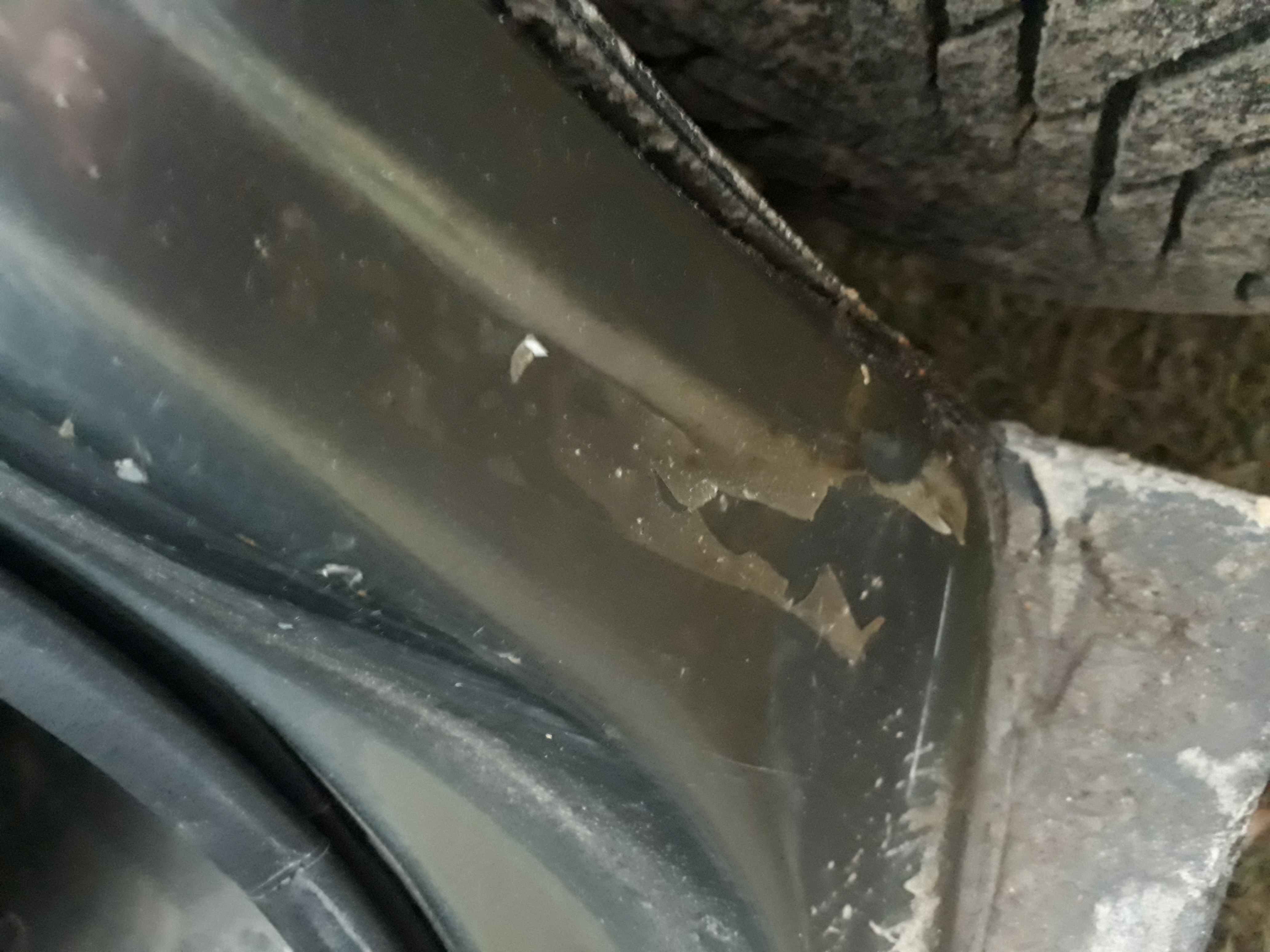 дверь лев..jpg