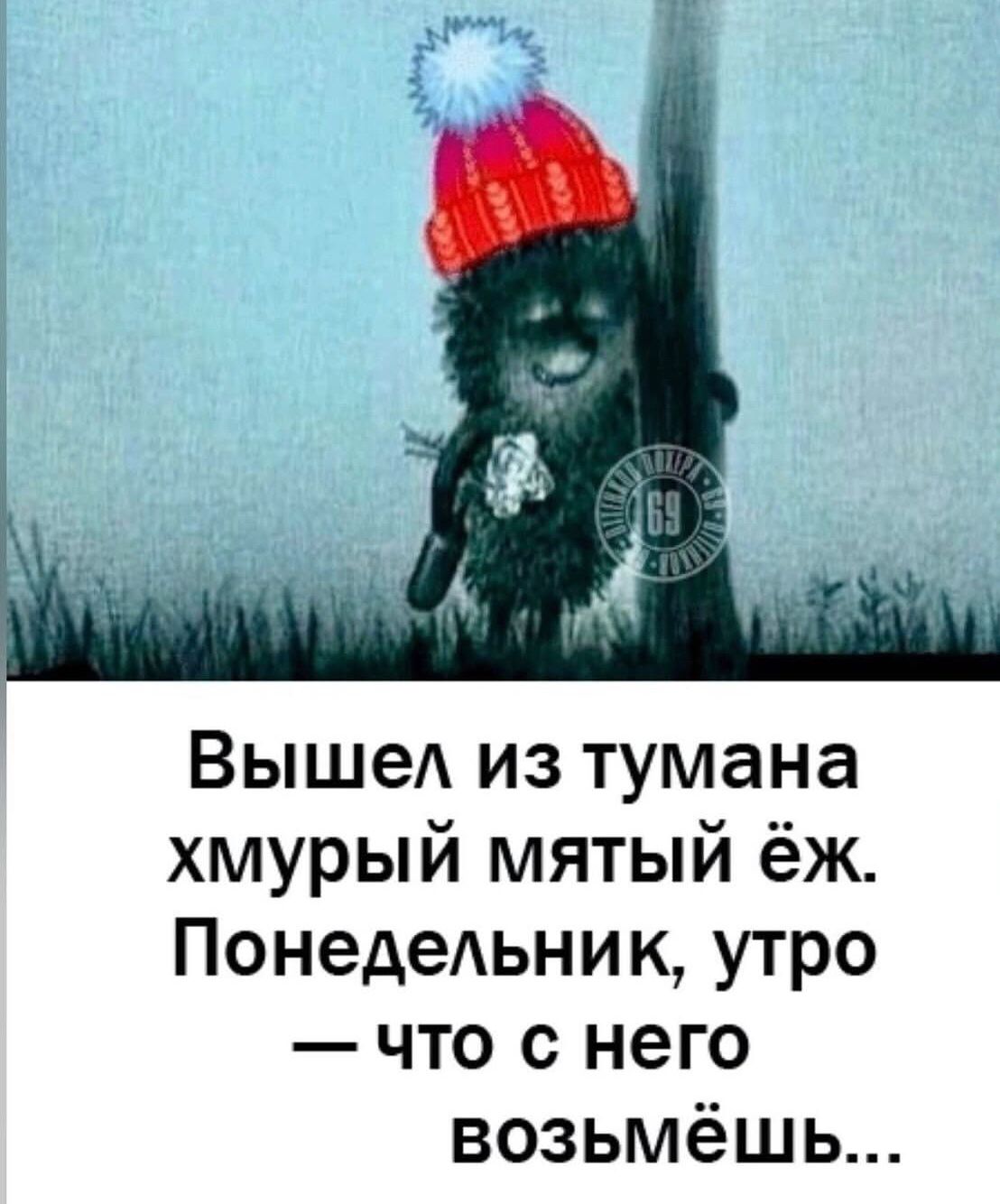 WhatsApp Image 2025-12-08 at 09.41.52.jpeg