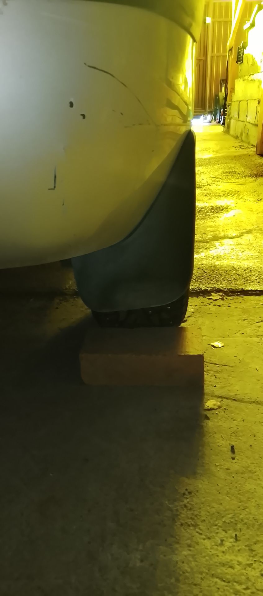 1000006392.jpg