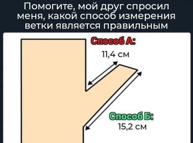 20969971.jpg