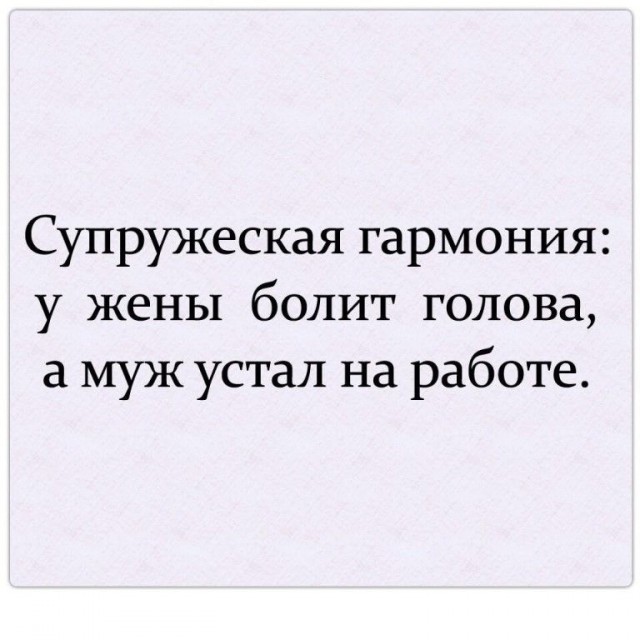 20987338.jpg