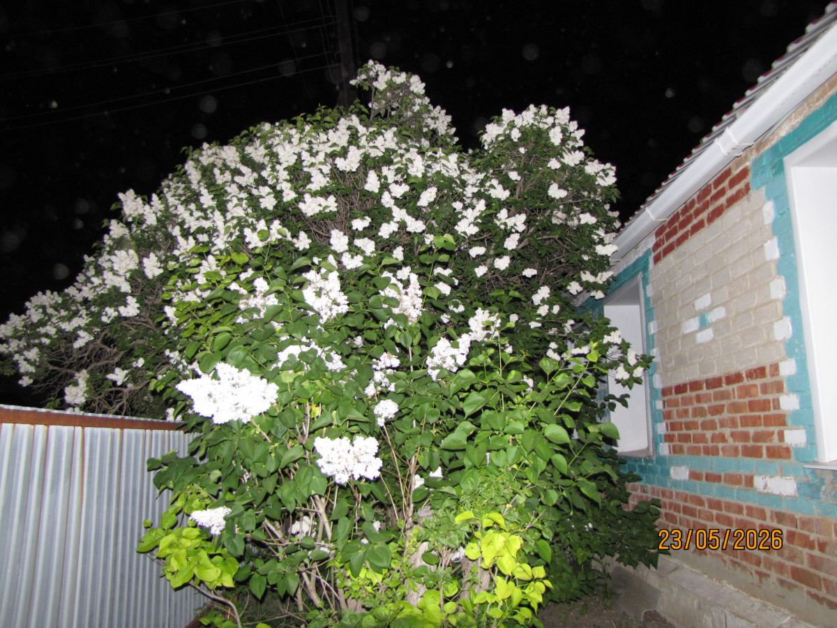 IMG_6439.JPG