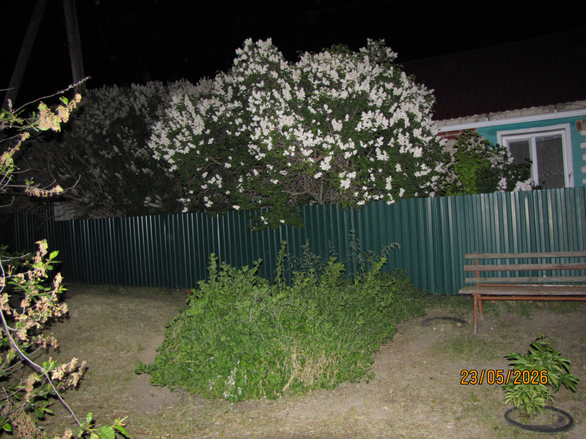 IMG_6441.JPG