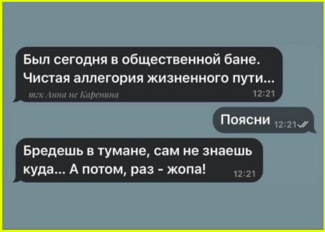 21116879.jpg
