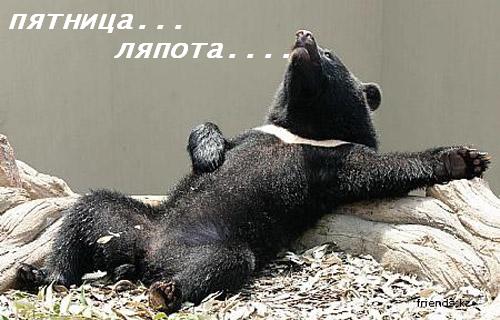 Пятница, ляпота.jpg
