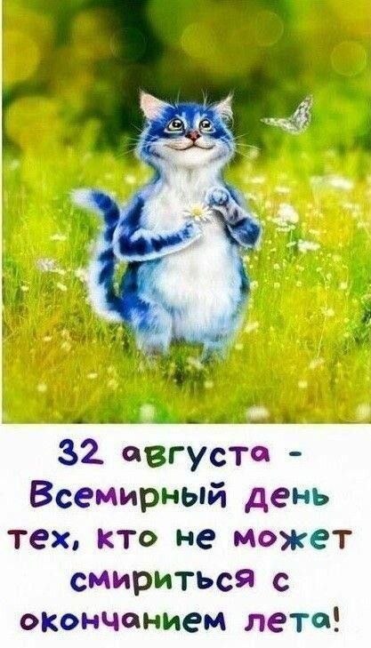 da11197c-c230-4e8f-b2dc-5240965c4fed-1_all_2682.jpg