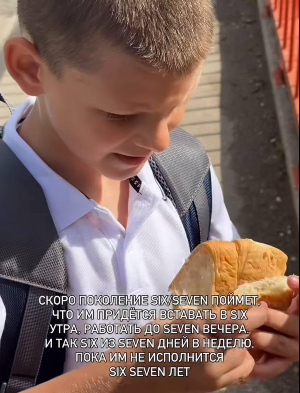 54811.jpg