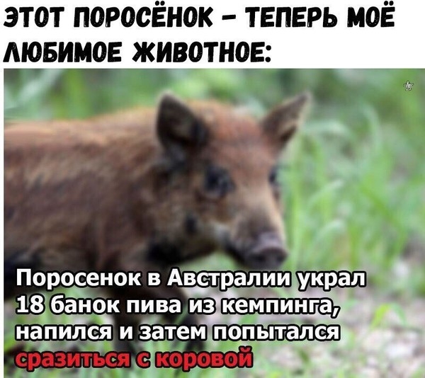 IMG-5bd44d4ed34d32489e556d401b32a388-V.jpg