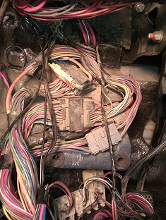 IMAG0571_1.jpg