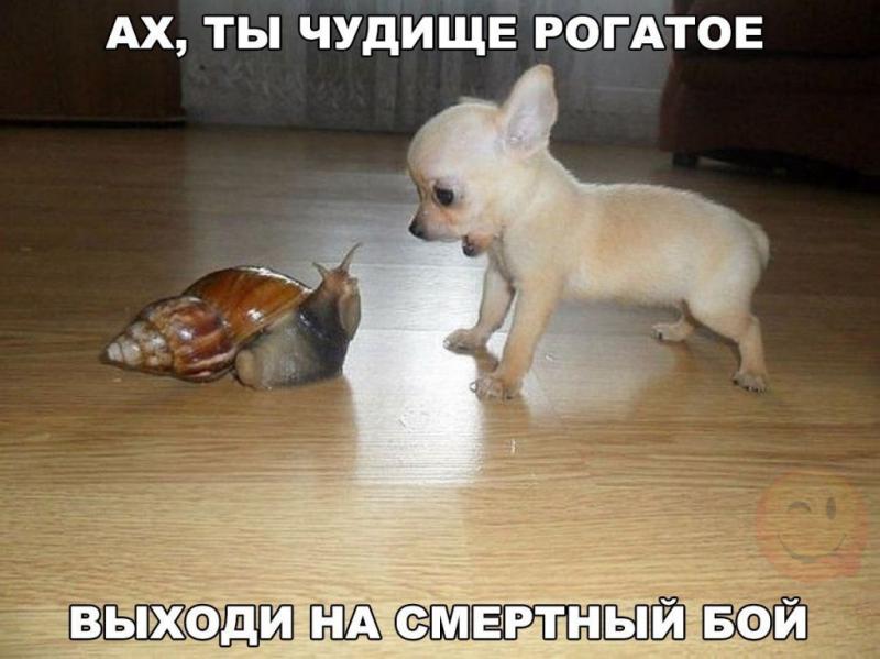 image %2816%29.jpg