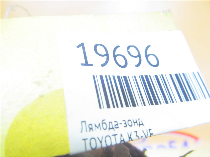 19696.jpg