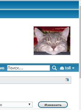 catblock.PNG