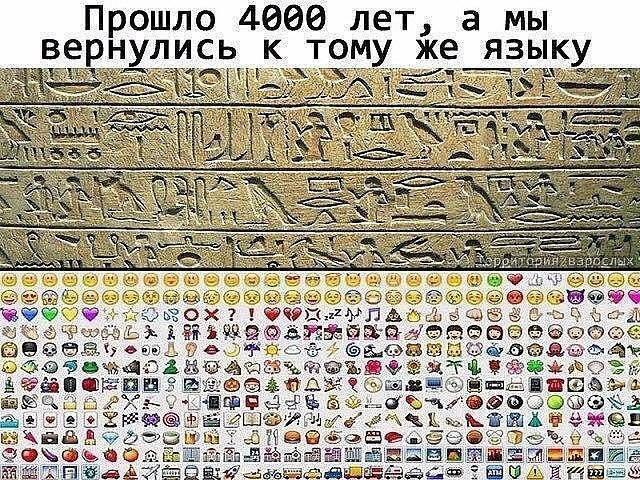 11413211.jpg