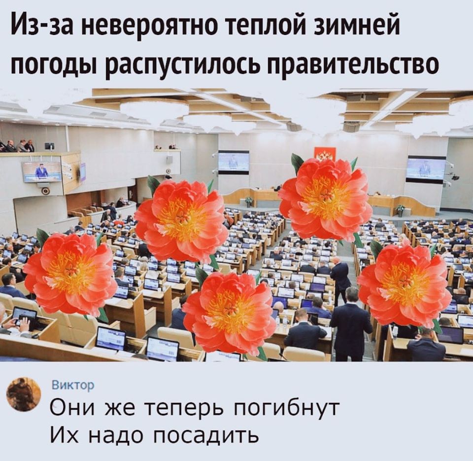 правительство.jpg