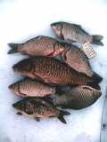 IMG 20160401 182530