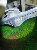 WhatsApp Image 2025-05-10 at 19.38.30